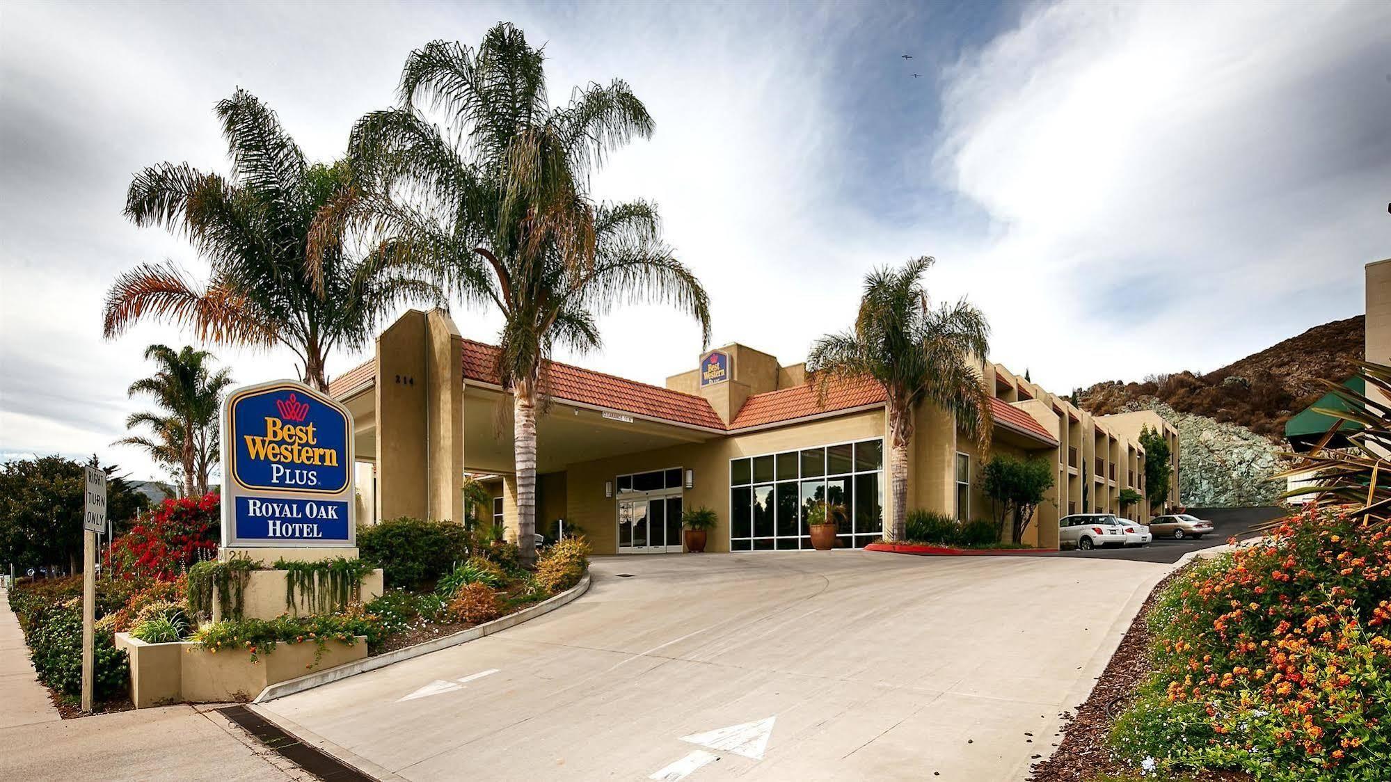 Western Royal Oak San Luis Obispo